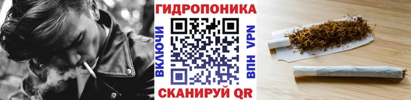 Канабис ГИДРОПОН Бронницы